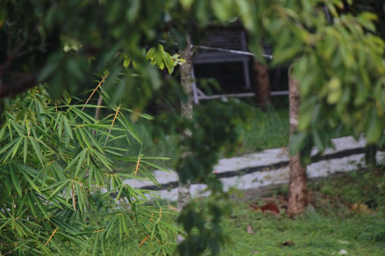Vividearth Resorts Bandipur Ngoại thất bức ảnh