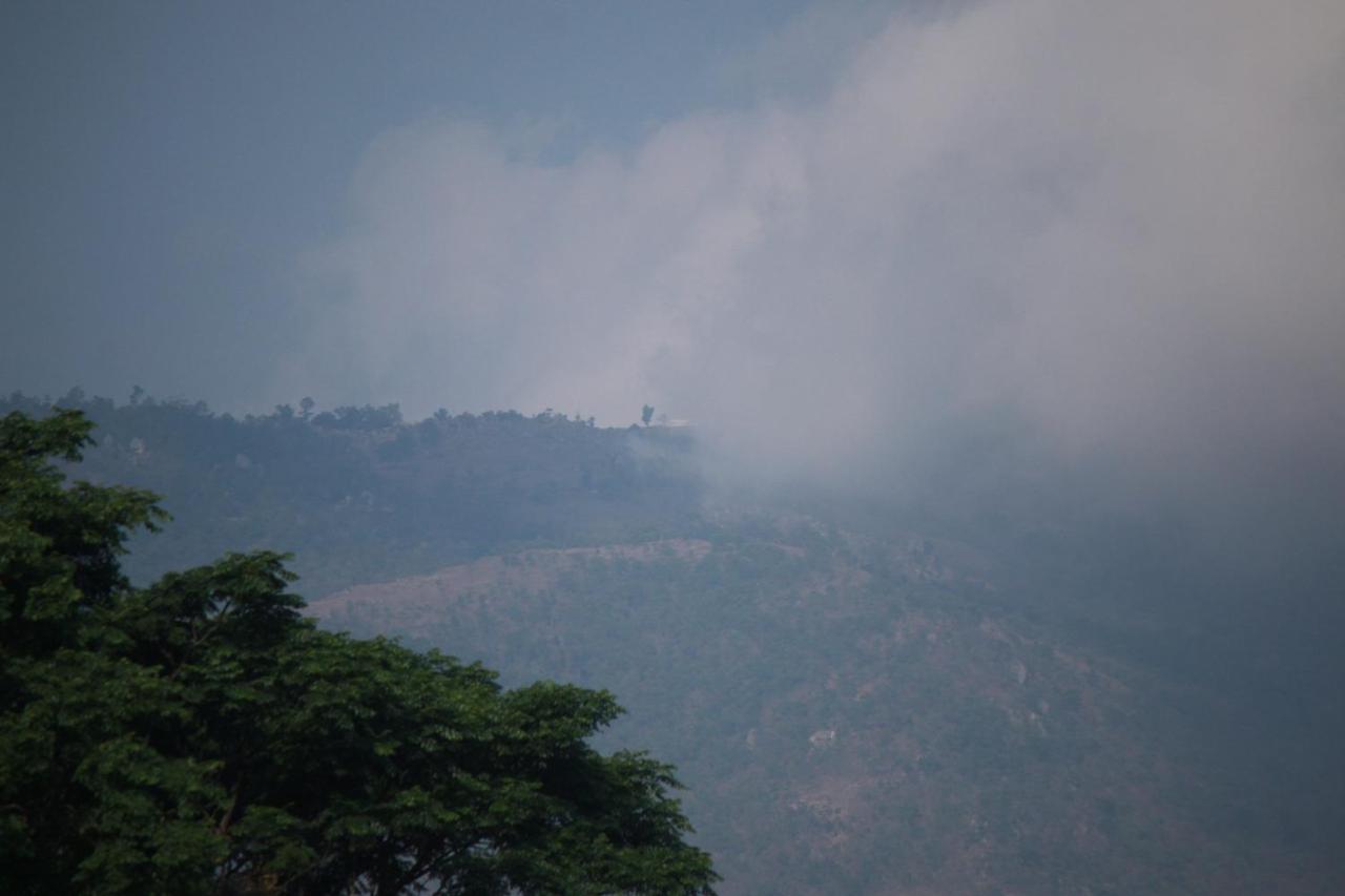 Vividearth Resorts Bandipur Ngoại thất bức ảnh