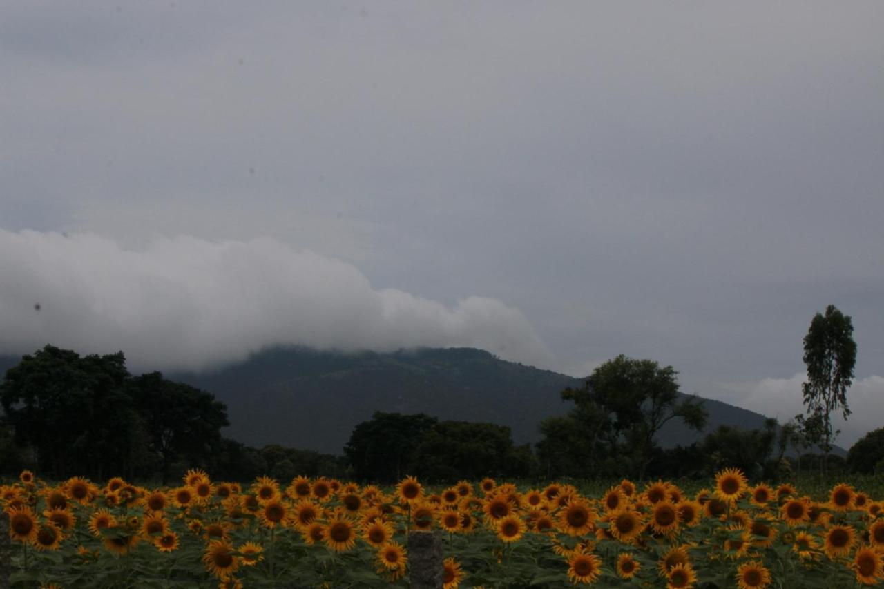 Vividearth Resorts Bandipur Ngoại thất bức ảnh