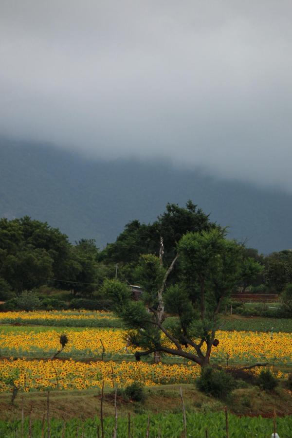 Vividearth Resorts Bandipur Ngoại thất bức ảnh